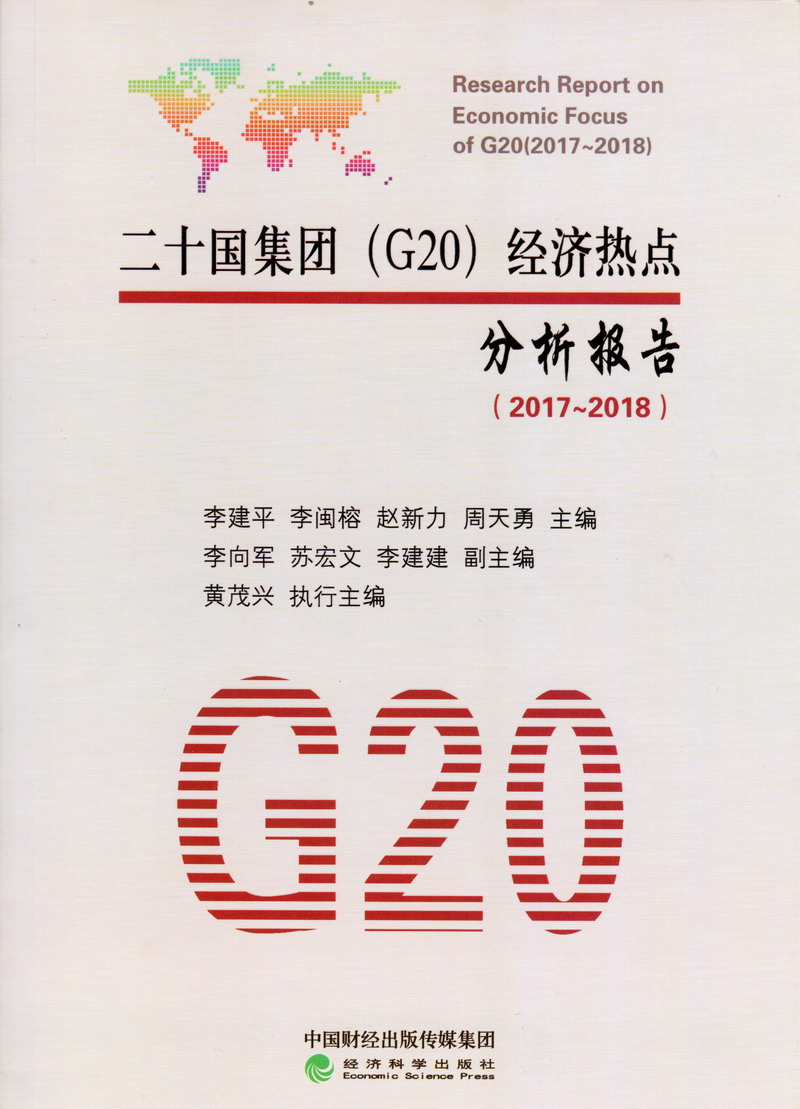 狠狠的操骚逼二十国集团（G20）经济热点分析报告（2017-2018）